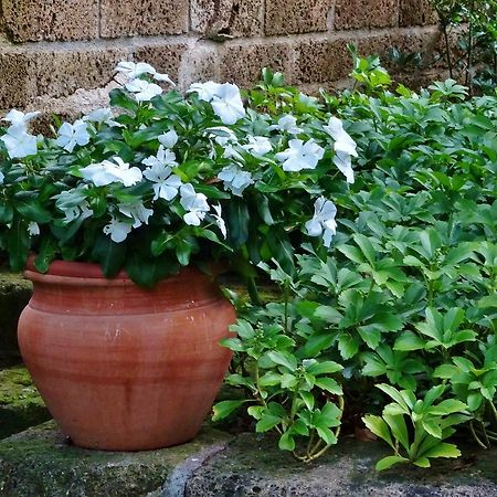 Luna Del Colle B&B Colle Brianza Ngoại thất bức ảnh